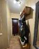 Сдам 2-комнатную квартиру в Ростове на Дону, Центр, ул. Козлова 65А, 47 м²